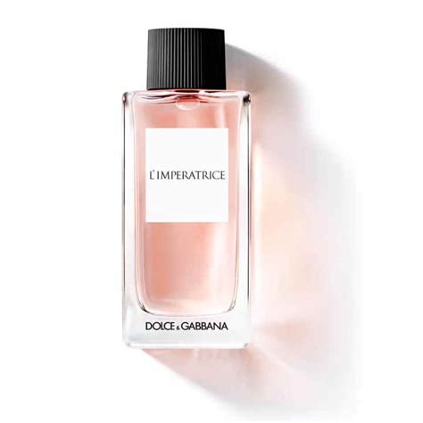 primor dolce gabbana|Profumo Dolce e Gabbana .